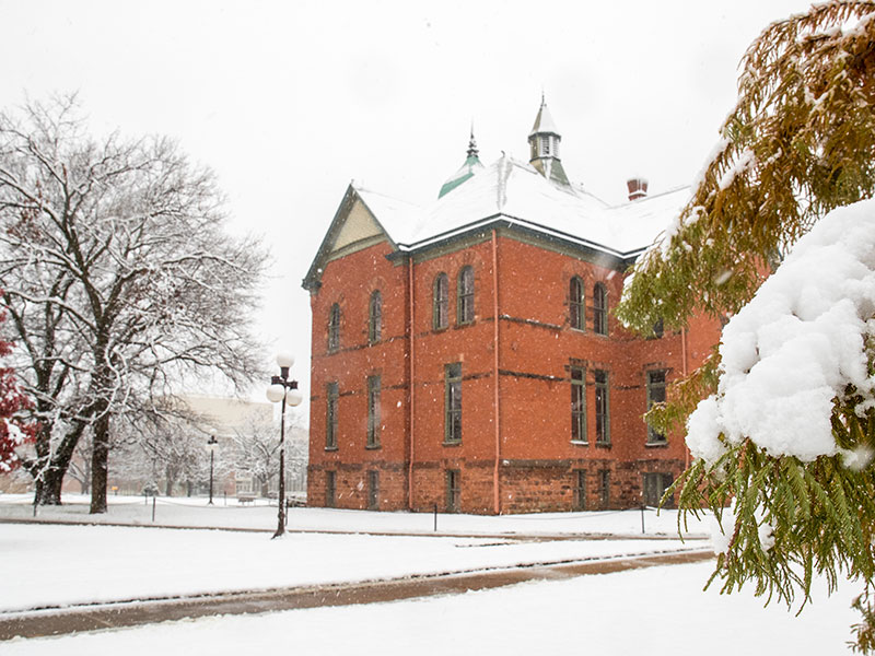 This is alt text for the image